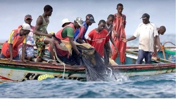 Le réchauffement des océans et les chalutiers chinois menacent la pêche côtière en Afrique de l’Ouest (rapport)