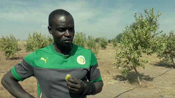 Ferdinand Coly, le cri de colère d’un lion blessé : « j’ai tout respecté, la justice m’a tout retiré » Ferdinand Coly, le cri de colère d’un lion blessé : « j’ai tout respecté, la justice m’a tout retiré »