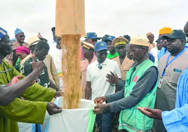 Les annonces de Mabouba Diagne aux producteurs de la vallée