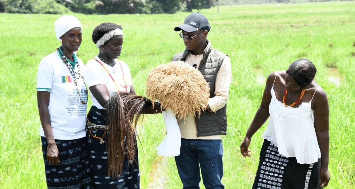Mabouba Diagne : « Le Sénégal est résolument engagé dans la transformation des systèmes alimentaires »
