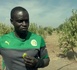 Ferdinand Coly, le cri de colère d’un lion blessé : « j’ai tout respecté, la justice m’a tout retiré »