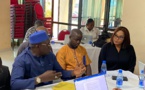 MINES AU SÉNÉGAL: La "mine d'infos" dans les trous bientôt en exploitable...