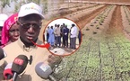 Engrais à 1 000 FCFA le sac : l’État du Sénégal lance une subvention record pour la campagne agricole 2025/2026