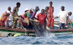 Le réchauffement des océans et les chalutiers chinois menacent la pêche côtière en Afrique de l’Ouest (rapport)